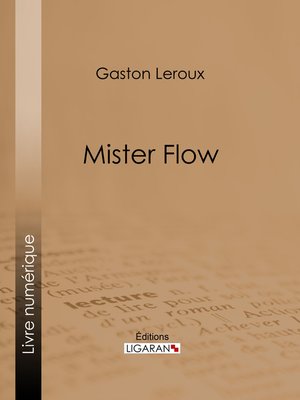 cover image of Mister Flow